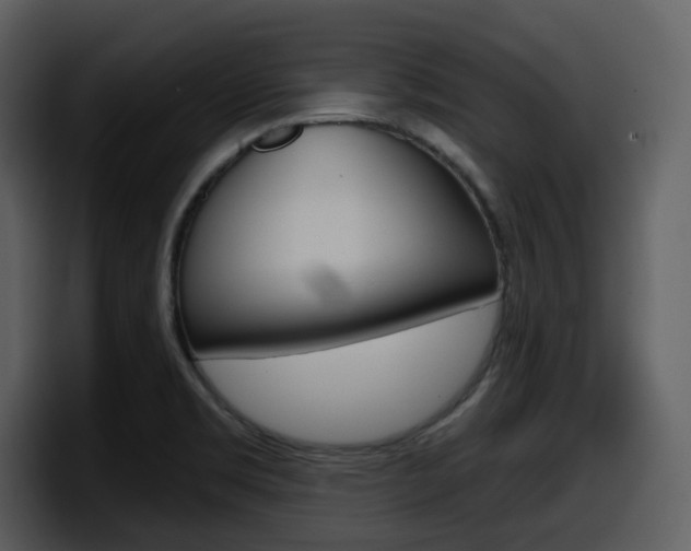 X0000098091469200804040717