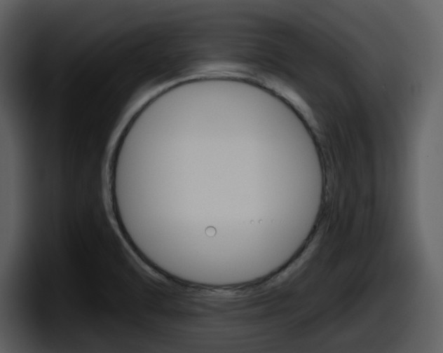 X0000098091470200804040717