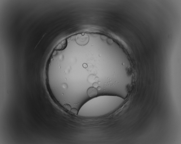 X0000098091471200804040717