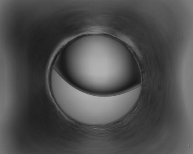 X0000098091472200804040717