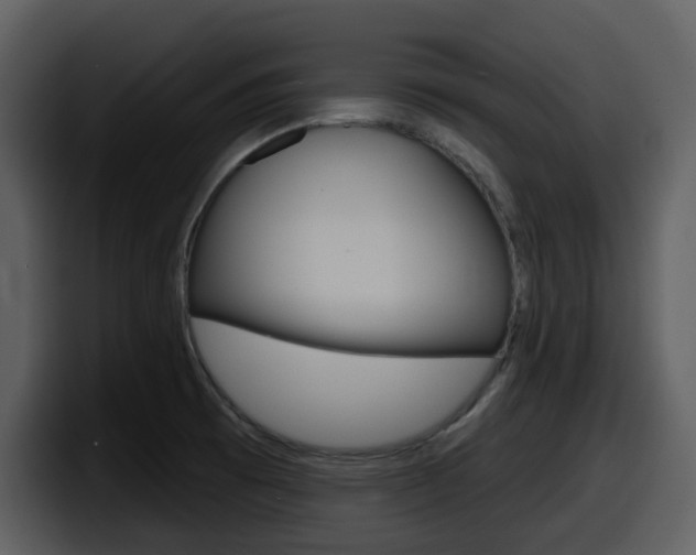 X0000098091473200804040716