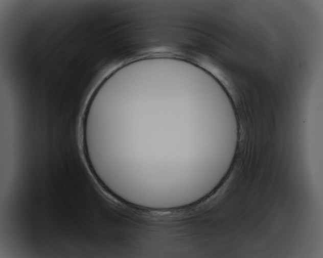 X0000098091474200804040716