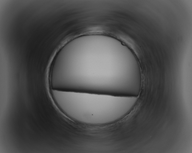 X0000098091475200804040716