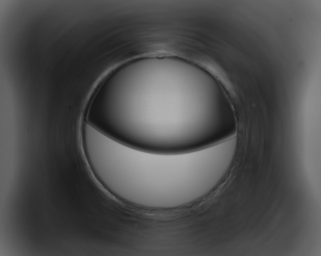 X0000098091476200804040716