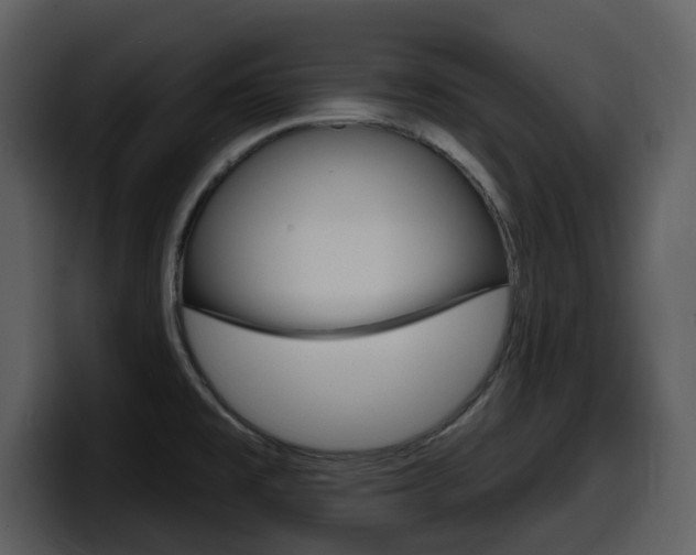 X0000098091477200804040716