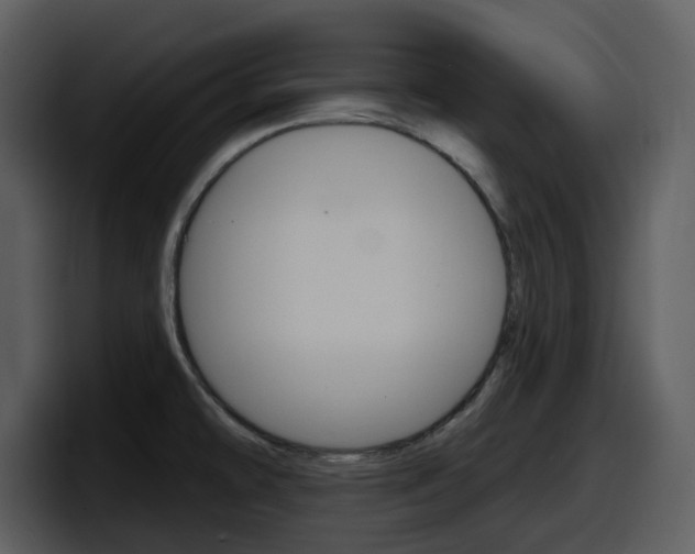X0000098091478200804040716