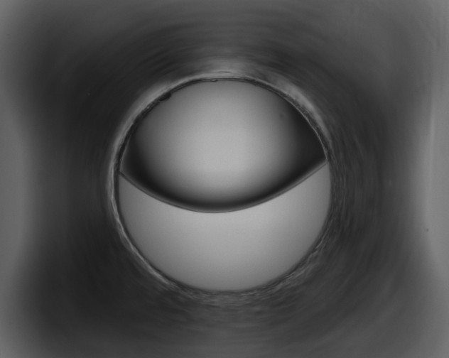 X0000098091480200804040716