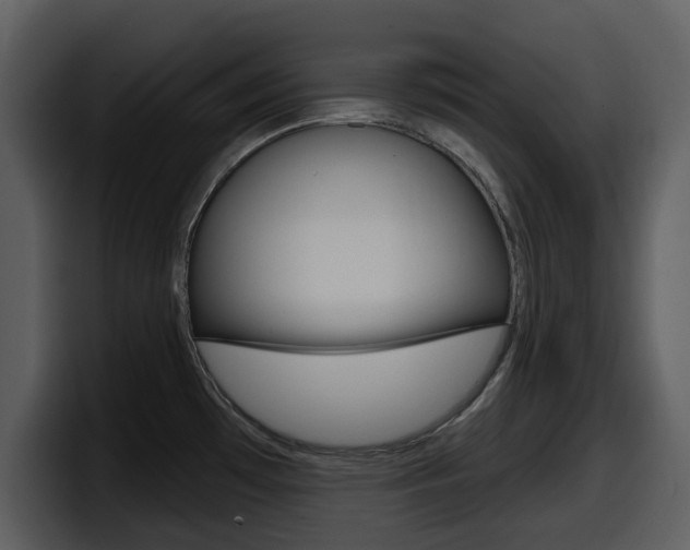 X0000098091481200804040716