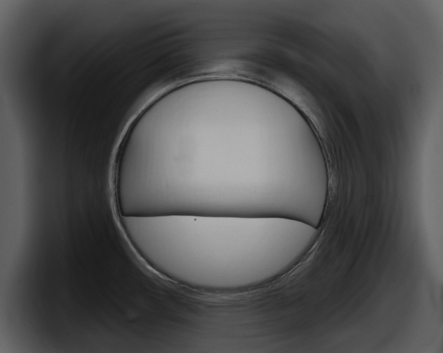 X0000098091482200804040716