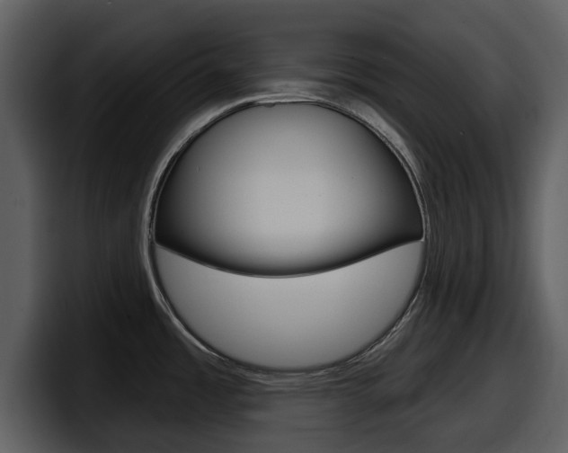 X0000098091485200804040716