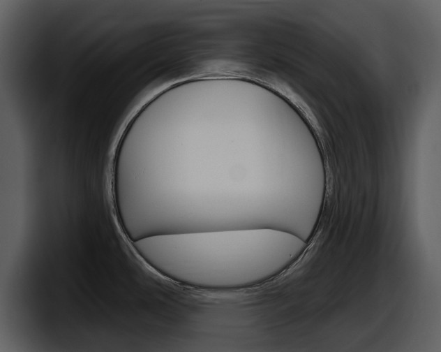 X0000098091486200804040716