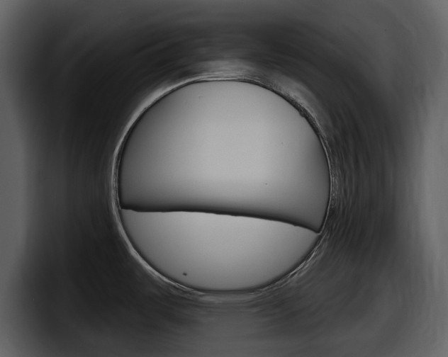 X0000098091487200804040716