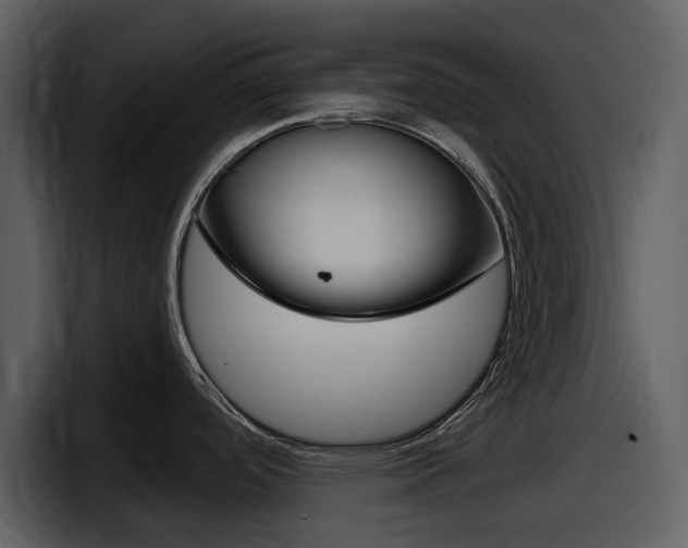 X0000098091488200804040716