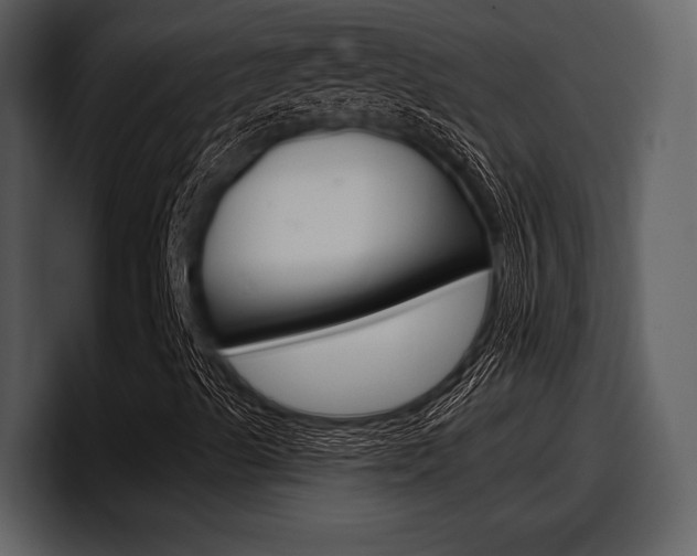 X0000098091489200804040716