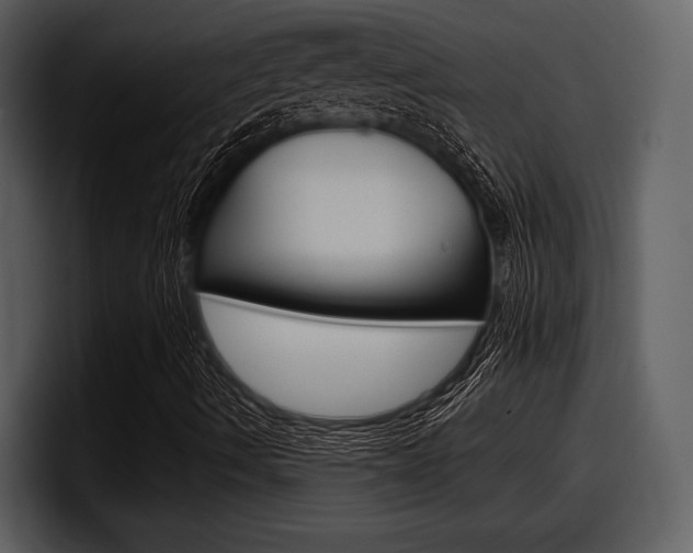 X0000098091490200804040716