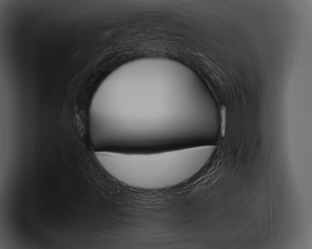 X0000098091491200804040716