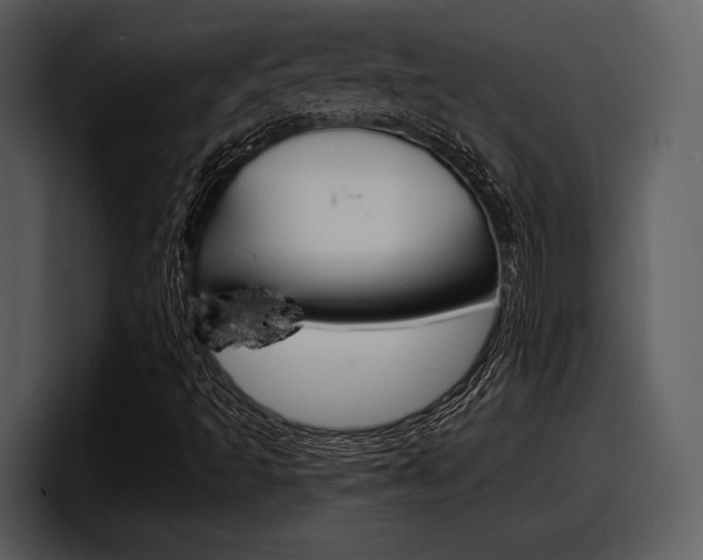 X0000098091493200804040716