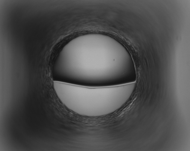 X0000098091494200804040716