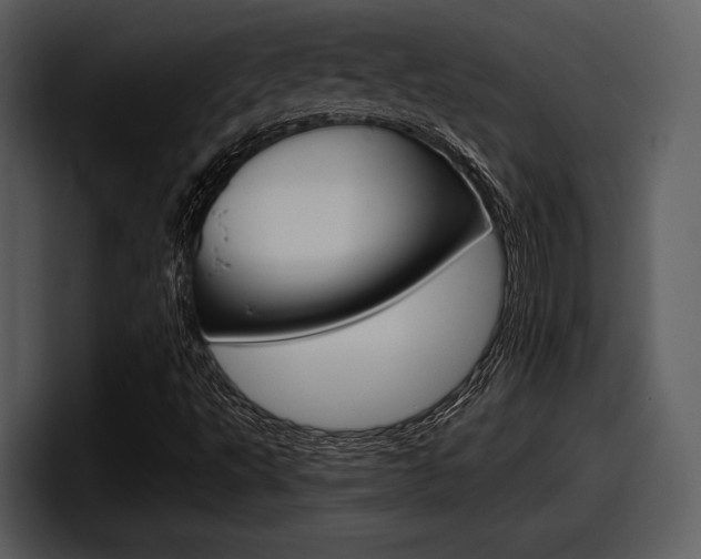 X0000098091495200804040716