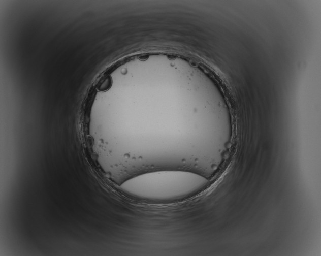 X0000098091498200804040716