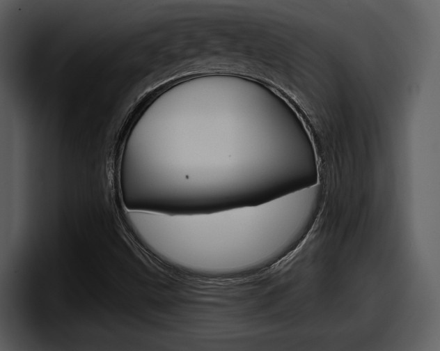 X0000098091499200804040716