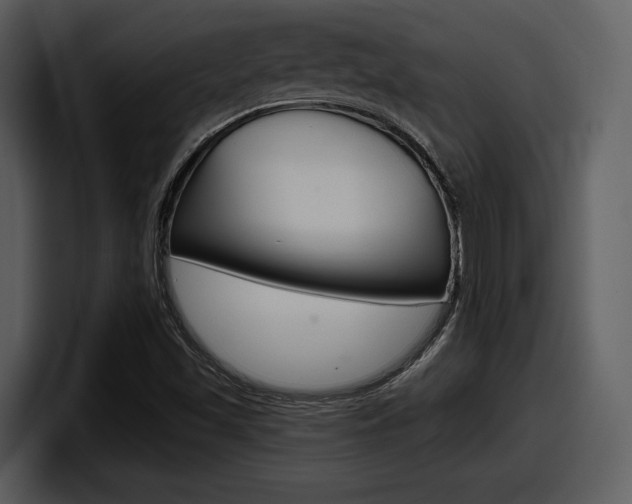 X0000098091501200804040716