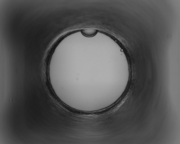 X0000098091502200804040716