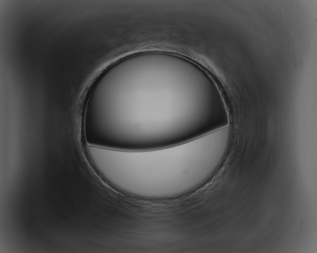 X0000098091504200804040716