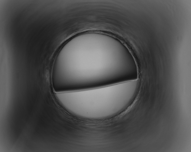 X0000098091505200804040716