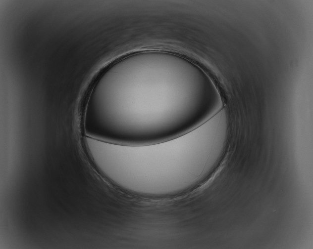 X0000098091506200804040716