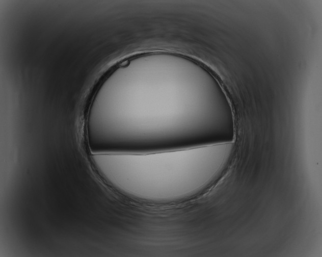 X0000098091507200804040716