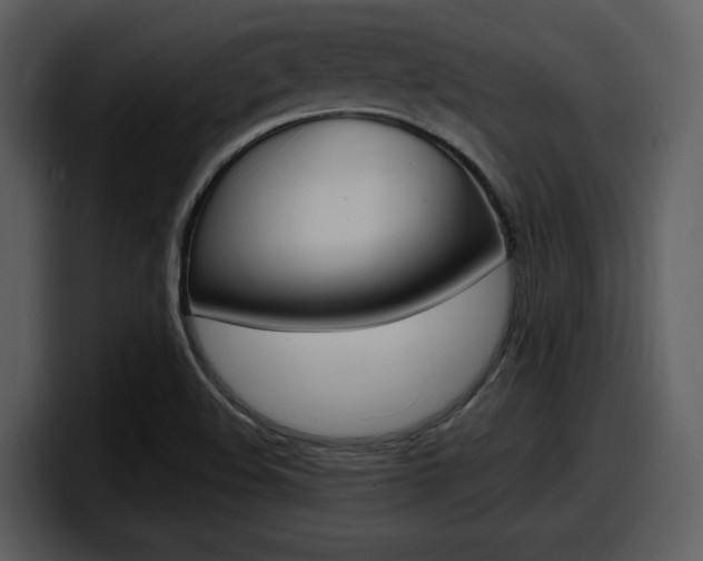 X0000098091508200804040716