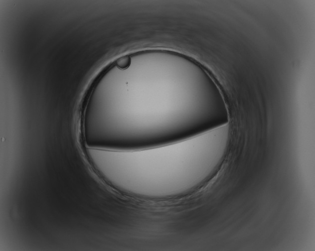 X0000098091511200804040716