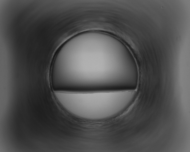 X0000098091513200804040716