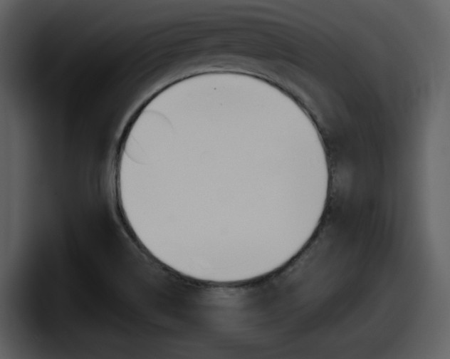 X0000098091514200804040716