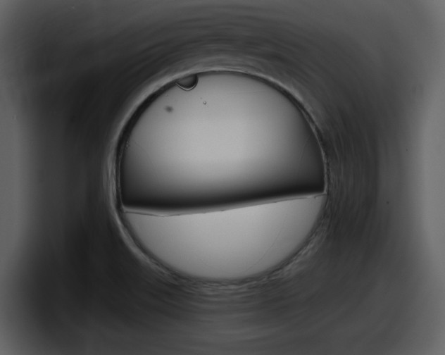 X0000098091515200804040716