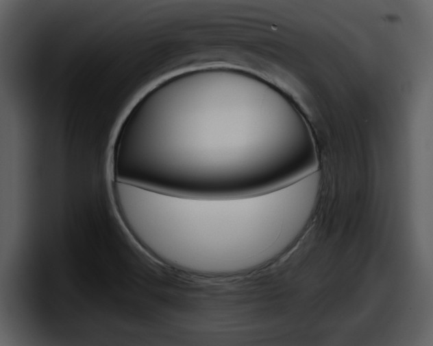X0000098091516200804040716