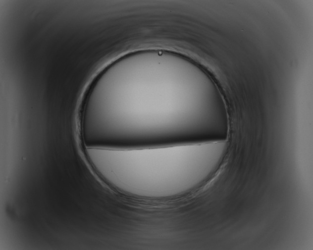 X0000098091517200804040716