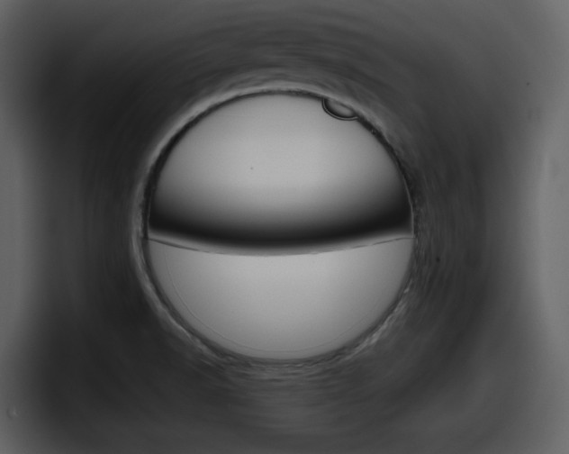 X0000098091518200804040716