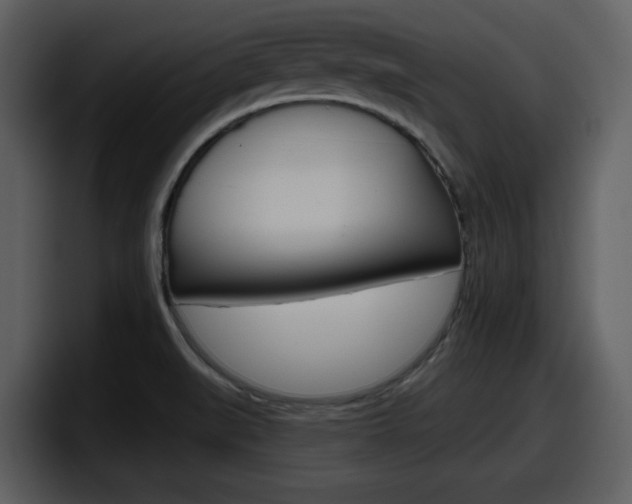 X0000098091519200804040716