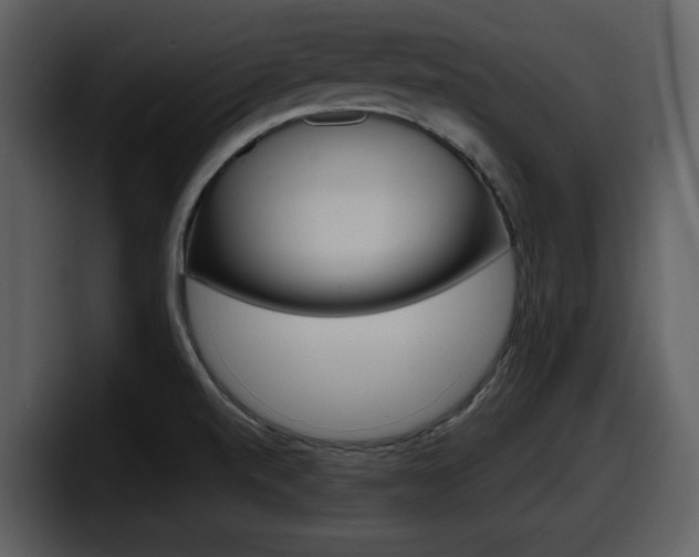 X0000098091520200804040716