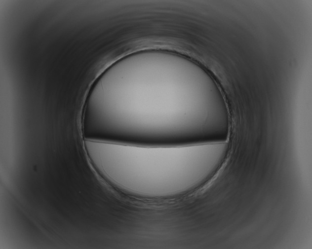 X0000098091521200804040716