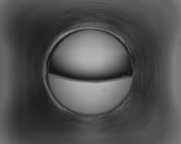 X0000098091523200804040716