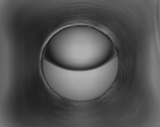 X0000098091524200804040716