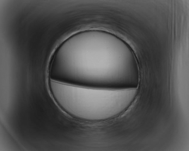 X0000098091525200804040716
