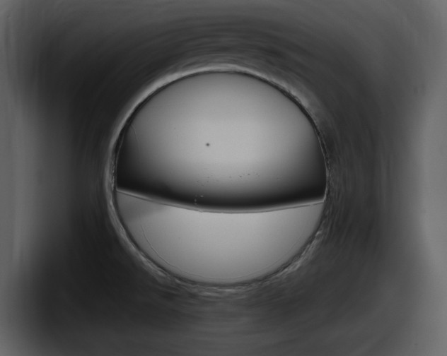 X0000098091526200804040716