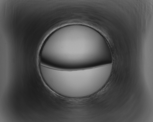 X0000098091527200804040716