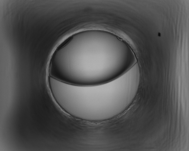 X0000098091528200804040716