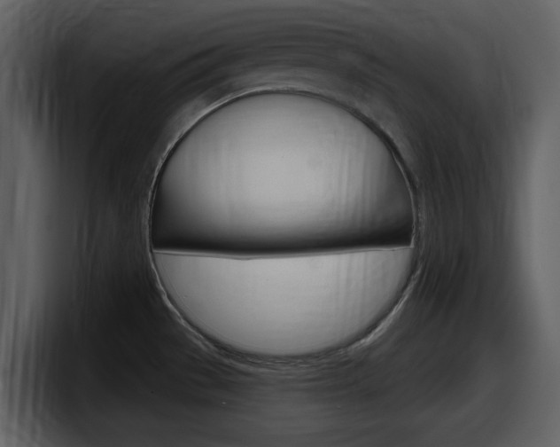 X0000098091529200804040716