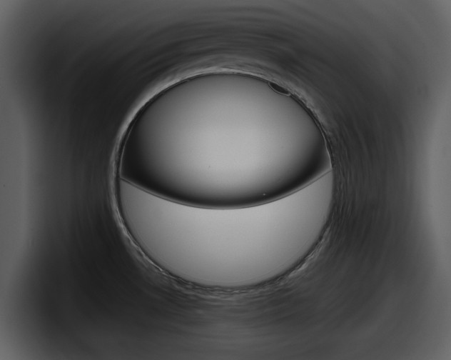 X0000098091530200804040716